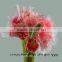 Beautiful decorative flowers without stems artificial flowers long stem with 0.6-0.8kg/bundle from Yunnan, China