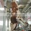 slaughterhouse equipment hook cattle