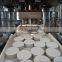 Water cleaning tablets press