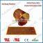 kapton polyimide flexible heater