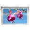 19 Inch Roof Fixing Bus Product Advertising Display