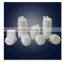 Hydrophobic OEM 5 inch 2.5 inch Capsule ink filter