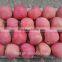 China Fresh Perfumed Fuji Apple
