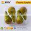 Disposable Food Grade Pear Plastic Container