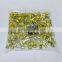 220UF/25V 10*13 non-polarized aluminum electrolytic capacitor