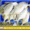 Supply Frozen Golden Pompano With All Size