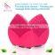 Design patent vacuum blackhead remover brush facial cleaning