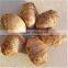 Fresh Taro Exporter