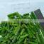 Frozen Fresh Green Asparagus