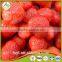 Frozen Strawberry best selling products