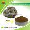 Most Popular Organic Coriolus Versicolor Extract