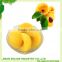 Fresh canned fruit yellow peach good price