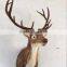 wall decoration mounted plastic antler animal horns sale