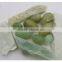 free shipping egg shape exercise ball,green jade eggs,vaginal exercise jade eggs for sale,semi-precious stone egg