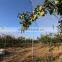 hail fruit protection cover, HDPE hail guard net, anti-hail nets (Red anti-granizo)