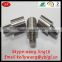 Stailess Steel/Brass M2 M3 M4 M5 M6 M8 M10 M12 M14 M16 M18 M20 Bolt and Nut