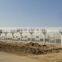 Factory Price Multi-span plastic greenhouse