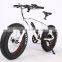 2017 New design 20 inch 36V 350W non-foldable electric fat bike