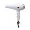 Competitive Price Professional Salon Use Hair Dryer with AC motor