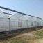 Durable Multi Span Agriculture Equipment Polythene Greenhouse