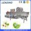 vegetable washing machine / salad vegetable washing machine