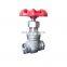 1/2 inch stainless steel ss316 CF8M threaded end gate valve kitz