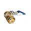 2'' npt low-pressure brass y-strainer
