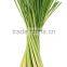 Fresh Lemongrass Vegetable in Vietnam