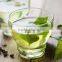 Green Tea to Burn Your Fat