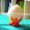 Beautiful lamp electrical decorative lamp for promotional gifts