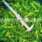 Garlic Scapes New Crop Frozen Green Garlic Sprouts Cut