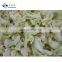 Sinocharm BRC A Approved Vegetable IQF Cauliflower  Green Stem Frozen Cauliflower