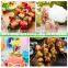 Yada Disposable Natural Wood BBQ Skewer 8-12 Inch Round Roasting Bamboo Sticks for BBQ Camping