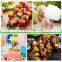 Yada Customized Shish Kebap Bamboo Sticks BBQ Skewers Disposable Round Natural Bamboo Skewer