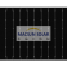 166mm P-Type Mono Bifacial Solar Cells