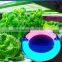 induction plant grow light item type full spectrum led grow lights