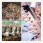 Shrimp skin peeler machine, shrimp peeling equipment
