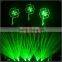 5W Green Animation Laser Light Module,ILDA Laser Text Projector Light Show Equipment