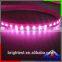 2835 12V LED Strip 120led/m Pink Color