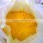 Poly Aluminium Chloride for drinking & waste water treatment