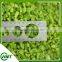 High Quality Frozen Iqf Greenbell Pepper Sliced Diced