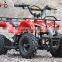 cheap 800W Mini Electric Quad ATV for kids