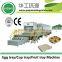 disposable recycled paper egg tray production line by HGHY