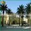 Decorative Outdoor Palm Tree Artificial Date Plam Tree Sale