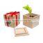 Mini Green Plants Magic Bean With Words in Promotions