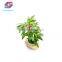 High Simulation Decorative Artificial Fruit Tree