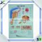 Medical Educational PVC 3D poster/Blister Anatomy Poster