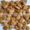 roasted apricot kernels raw flavor with good quality for sale