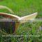 Bamboo Sunglasses China
