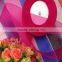 Wholesale custom cheap packing decorative Colorful Sheer Organza Florist Ribbons